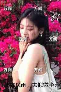 来如风雨什么意思