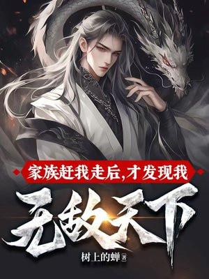 才发现我无敌天下电子书