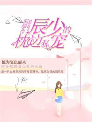 辰少的隐婚甜妻完整版