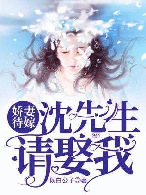 沈先生的小娇妻一度