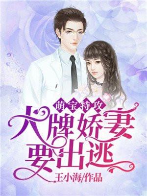 萌宝特攻队渣爹接招吧免费的完整