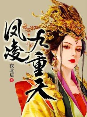 九世九重天 风凌天下