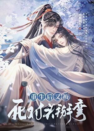 远上白云间作者合集