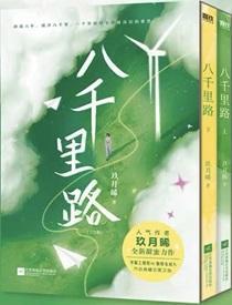 八千里路云和月 电视剧