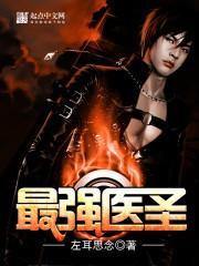 都市之最强医圣