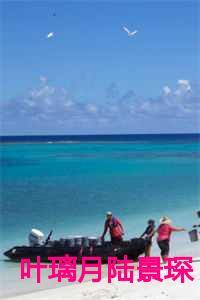 叶璃月陆景琛全文免费阅读