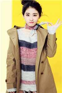 总裁追妻火葬场的文