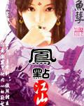 凤点江山凤倾天下