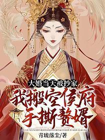 大婚当天被抄家我搬空侯府手撕赘婿百度