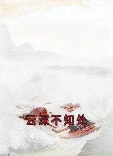 云深不知处胡因梦电影