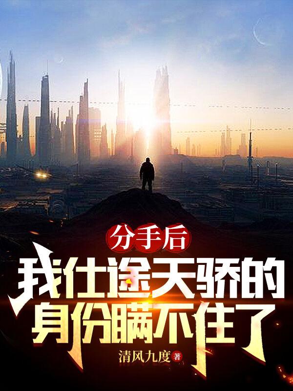 分手后我仕途天骄身份瞒不住了简介