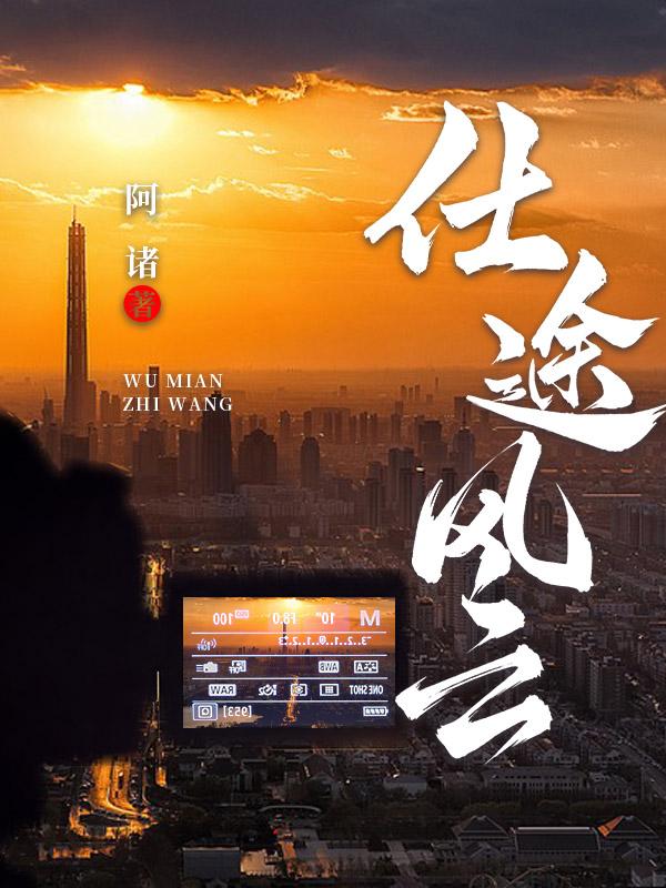 仕途风云全文阅读免费阅读