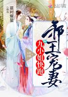 邪王缠身神医九小姐