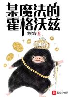 某魔法的霍格沃茨免费阅读