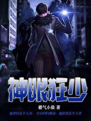 神眼狂少TXT精校版