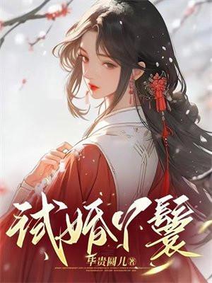 试婚丫鬟短剧免费观看