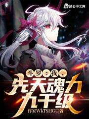 斗罗先天魂力90级