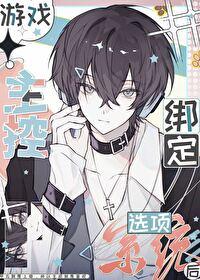 绑定选项模拟器后被迫成为怪盗笔趣