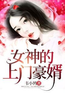 女神的上门豪婿全文阅读