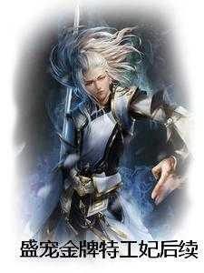 盛宠特工狂王妃免费阅读