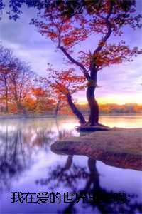 在我的爱情世界里