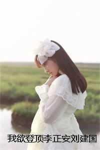 李正安刘建国我欲登顶全集