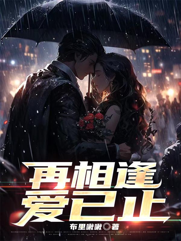 再相逢爱已止大结局是什么