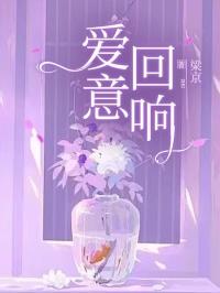 爱意回响短剧免费观看