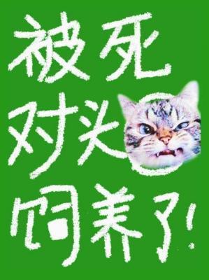 被死对头饲养了番外全TXT