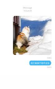 多梨我们猫猫不能听这些