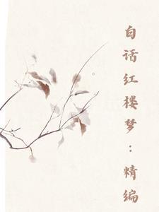 红楼梦白话文是什么版本