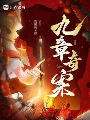 九章奇案百度