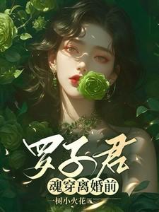 罗子君魂穿离婚前txt