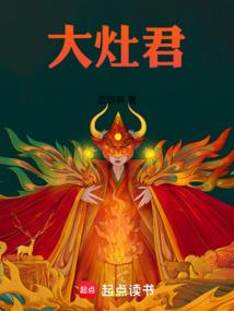 大灶君在线阅读免费