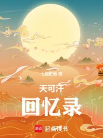 天可汗回忆录起点