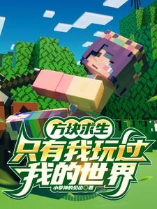 一方块生存我的世界