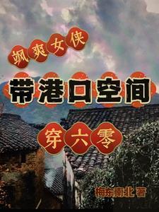 飒爽女侠带港口空间穿六零全