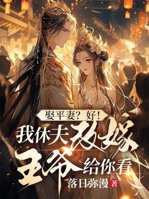 娶平妻好我休夫改嫁王爷给你看类似于