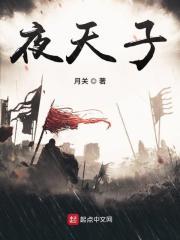 夜天子第二部电视剧全集在线观看