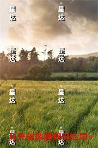 月光曾披满我身后续+完结