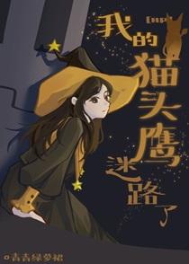 [HP]我的猫头鹰迷路了